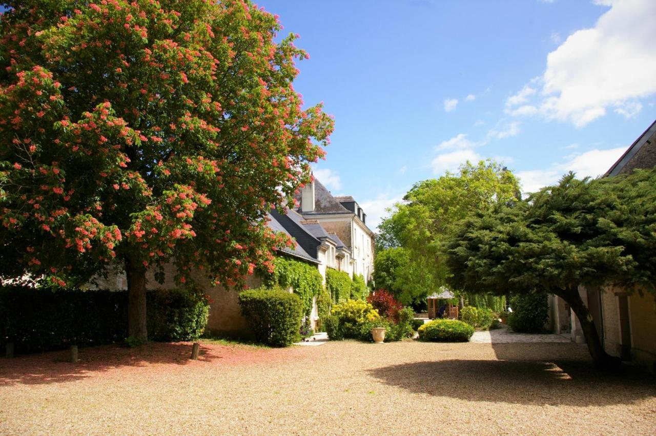 Moulin De Bacchus - Chateaux De La Loire Chançay Exterior foto